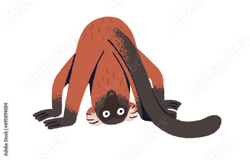 Red ruffed lemur fooling, standing in upside down pose. Playful monkey, cute happy primate. Funny Madagascar animal, furry rainforest inhabitant. Flat isolated vector illustration on white background photo