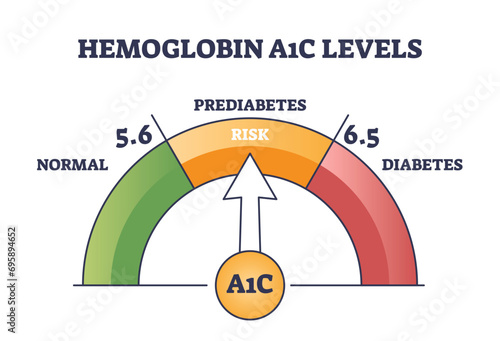 Hemoglobin A1C test for prediabetes and diabetes checkup outline diagram. Labeled educational scheme with bloodstream glucose level measurement vector illustration. Sugar control, monitoring in blood