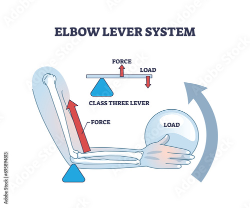 Elbow lever system and medical muscle work in weight lifting outline diagram. Labeled educational physiology scheme with force, load or class three lever vector illustration. Anatomical fitness study