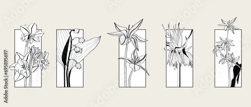 Illustration with big collection of spring and garden flowers frame background. Passiflora, clematis, magnolia, anemone and tropical. Decorative element, card, logo, poster.