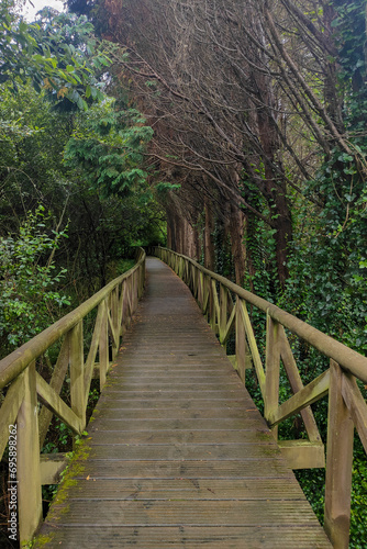 A tranquil wooden walkway meanders through lush greenery, bare branches overhead, inviting peaceful contemplation in nature