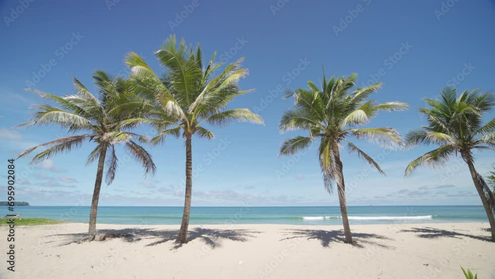 palm trees on the beach landscape view sea summer background. palm trees on the beach landscape view sea summer background.
