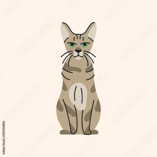 Savannah cat sitting color element. Cartoon cute animal.