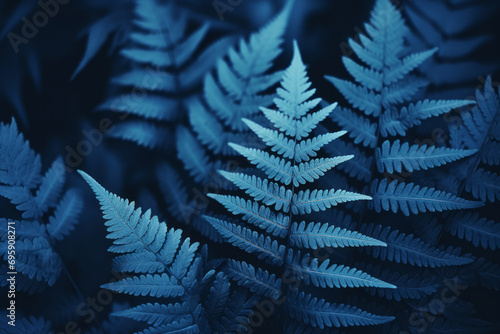 Wallpaper Mural Helechos vistos de cerca de color azul Torontodigital.ca