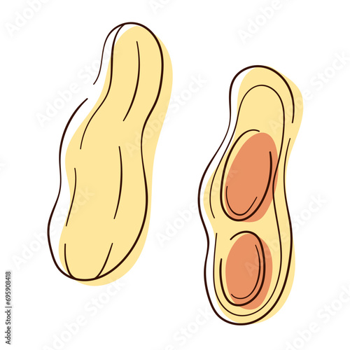 Peanut icon set in line and color art style. Design for peanut butter package. Vector illustration isolated on a white background.