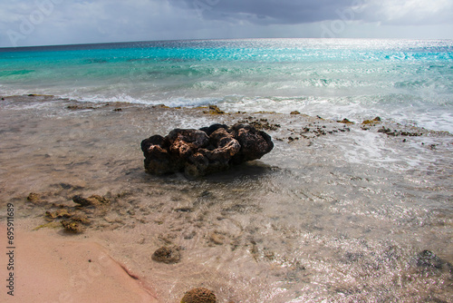Beached Coral