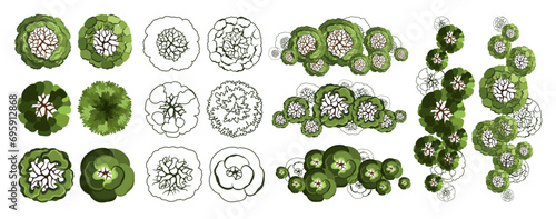 Tree for architectural floor plans. Entourage design. Various trees, bushes, and shrubs, top view for the landscape design plan. Vector illustration.