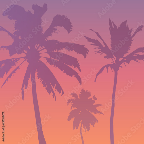 miami landscape, palms landscape, lines landscape, miami background, sunset background, palms background
