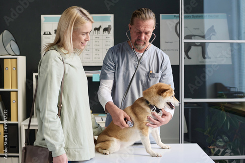 Middle-aged veterinarian checking heart of shiba inu with pet owner standing nearby talking to him