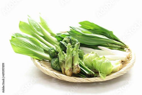 春の山菜盛り合わせ　行者ニンニク、ふきのとう、ウルイ（オオバギボウシ）、こごみ（草ソテツ）、タラの芽 photo