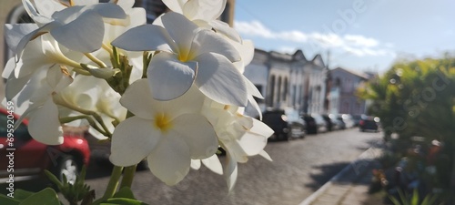 Penedo Cidade Histórica photo