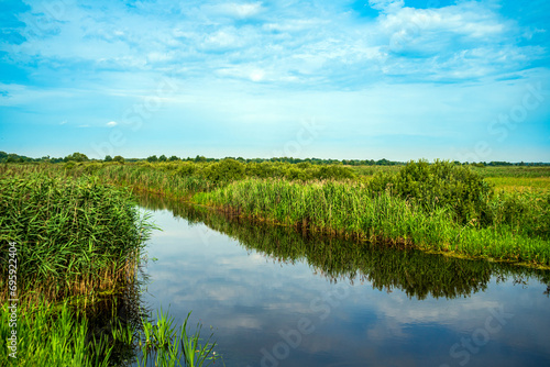 Water channel for irrigation, with thickets of reeds along banks photo