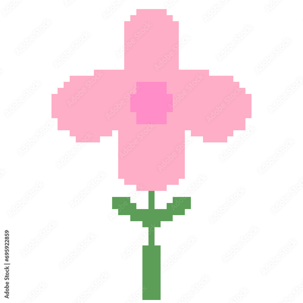 Obraz premium A pink flower