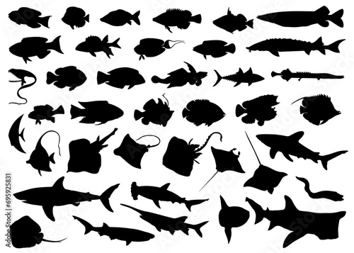 Big collection of fish silhouettes. Vector illustration.