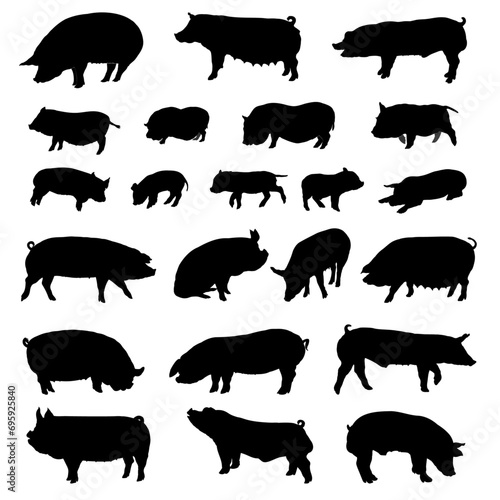 Pig breeds silhouettes. Vector illustration.