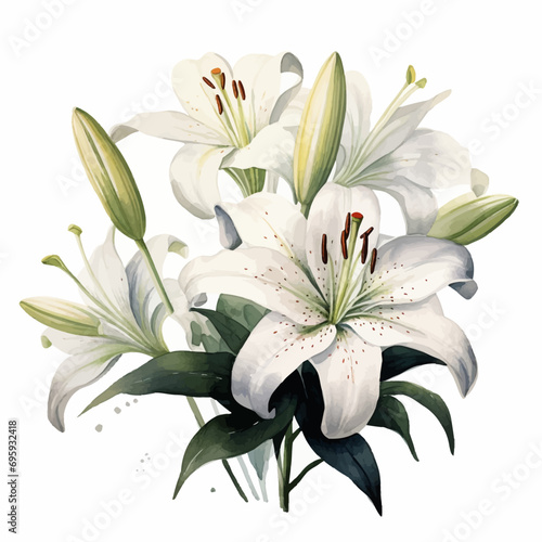flower  lily  nature  plant  pink  beauty  yellow  flora  white  garden  spring  flowers  blossom  isolated  lilly  petal  bloom  bouquet  macro  floral  summer  petals  lilies  leaf  closeup