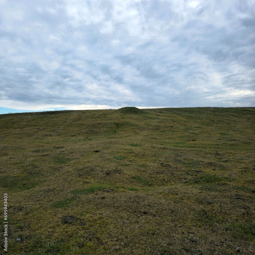 Fototapeta premium A grassy field with a cloudy sky