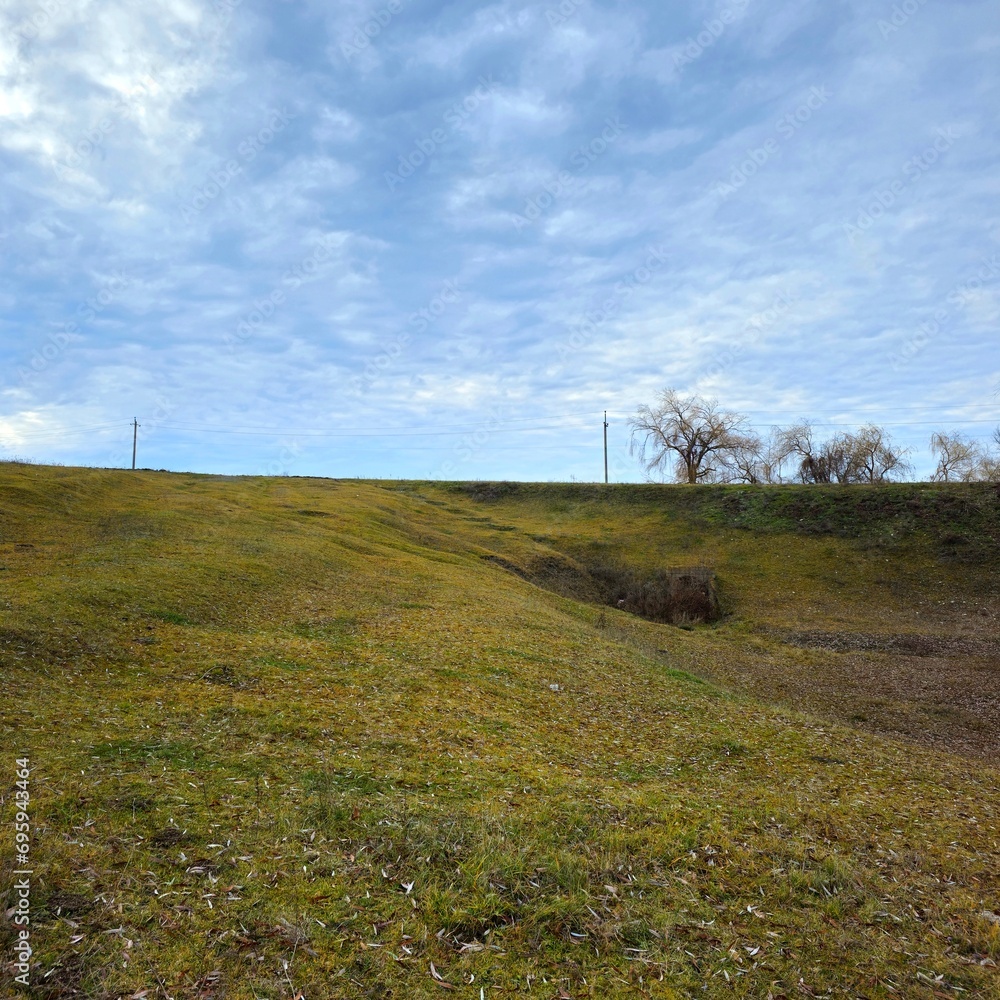 A grassy field with trees in the background A grassy field with trees in the background