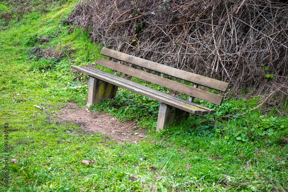 A wet wooden bench in front of a mossy wall