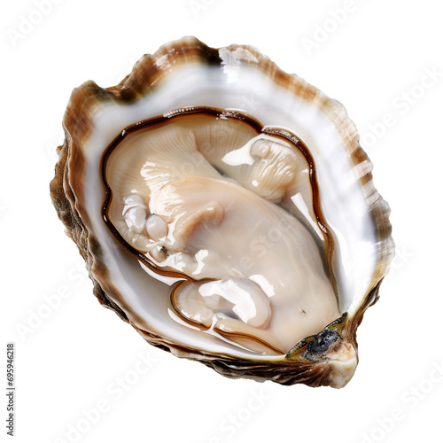 Oyster shell, PNG image, isolated image.