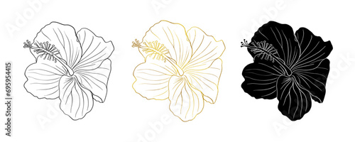 Gold foil  black ink  silhouette tropical hibiscus flower set. Chinese rose flower. Hand drawn illustration for logo  card or invite  tea herbs hibiskus tea. Isolated on white background.