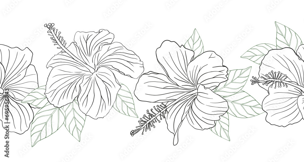 Hibiscus flower with leaves seamless boarder. Can be used for wedding invitations, greeting cards, scrapbook, print, gift wrap, manufacturing Hand drawn line art vector illustration Hibiscus flower with leaves seamless boarder. Can be used for wedding invitations, greeting cards, scrapbook, print, gift wrap, manufacturing Hand drawn line art vector illustration