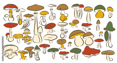 Mystical boho mushrooms vector set  magic fantasy cozy mushroom clipart  witchcraft symbol  cottagecore objects  mystical floral elements