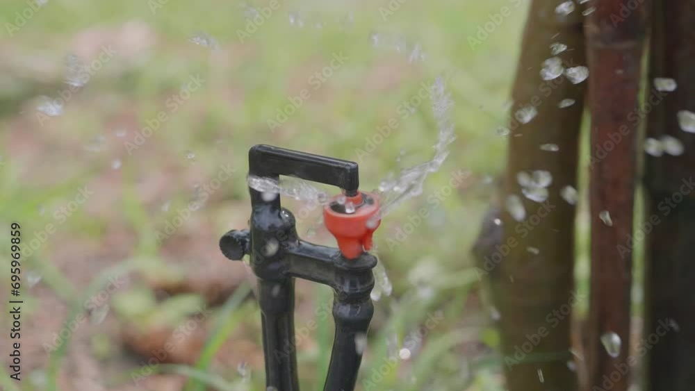 Horizontal automatic garden watering system with various rotating sprinklers. Installed on the lawn Landscape design with lawn and orchard Irrigate with a smart automatic sprayer at sunset. Horizontal automatic garden watering system with various rotating sprinklers. Installed on the lawn Landscape design with lawn and orchard Irrigate with a smart automatic sprayer at sunset.