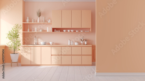 Bild auf Leinwand Peach fuzz room ,minimal luxury kitche room interior  ,peach color paint wall