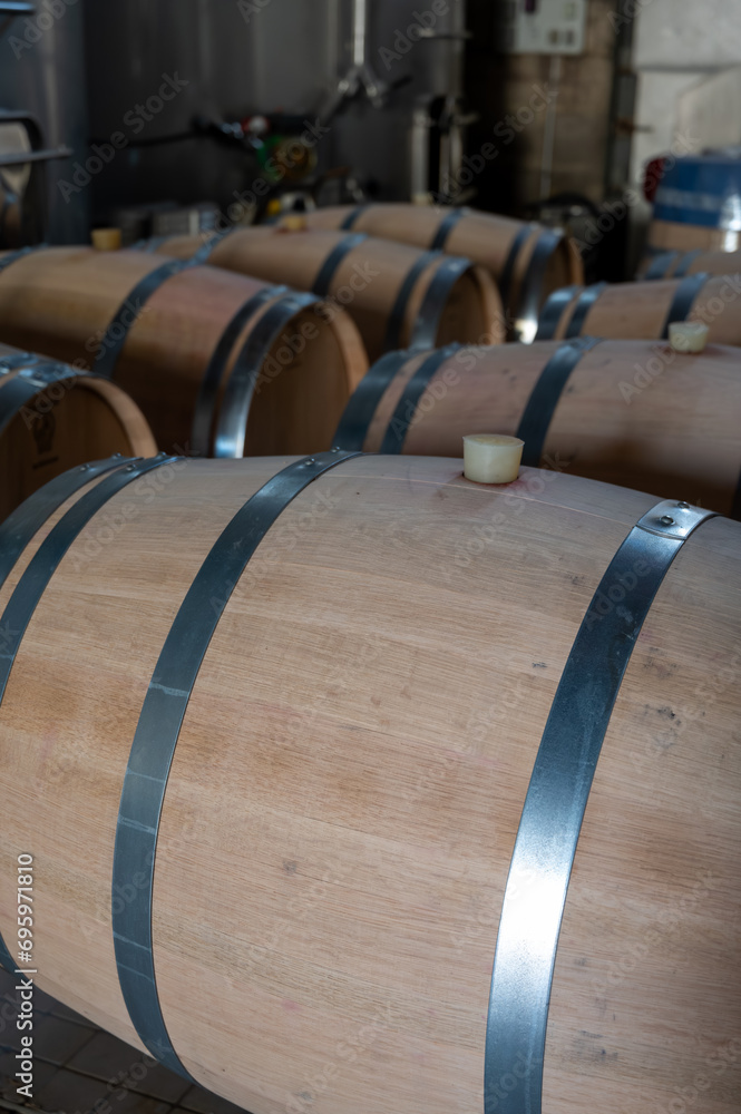French oak wooden barrels for aging red wine in cellar, Saint-Emilion wine making region picking, sorting with hands and crushing Merlot or Cabernet Sauvignon red wine grapes, France, Bordeaux