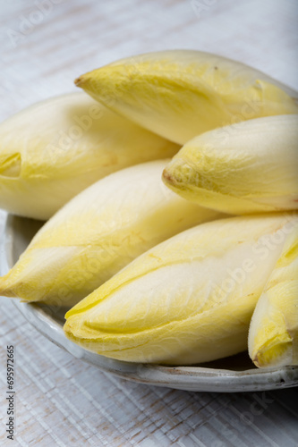 Fresh organic chicory endive salad ready to eat, traditional food in Belgium and the Netherlands