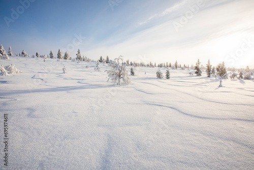 Winter landscape in Pallas Yllastunturi National Park, Lapland, Finland © Alberto Gonzalez 