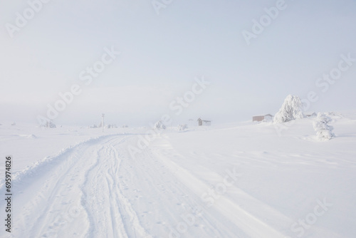 Ski expedition in Pallas Yllastunturi National Park , Lapland, Finland © Alberto Gonzalez 