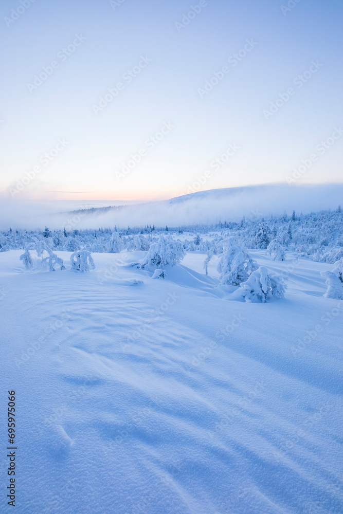 Winter landscape in Pallas Yllastunturi National Park, Lapland, Finland