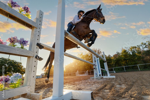 Horse Hunter Jumper over fence low angle sunflare