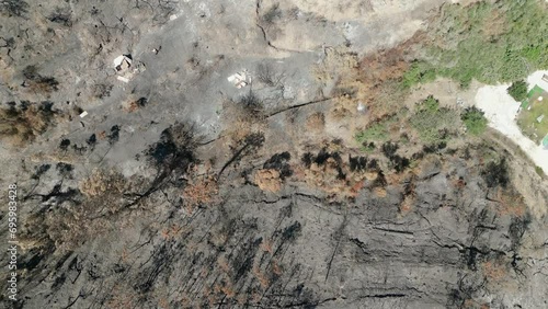 Forest Fire Portugal Drone