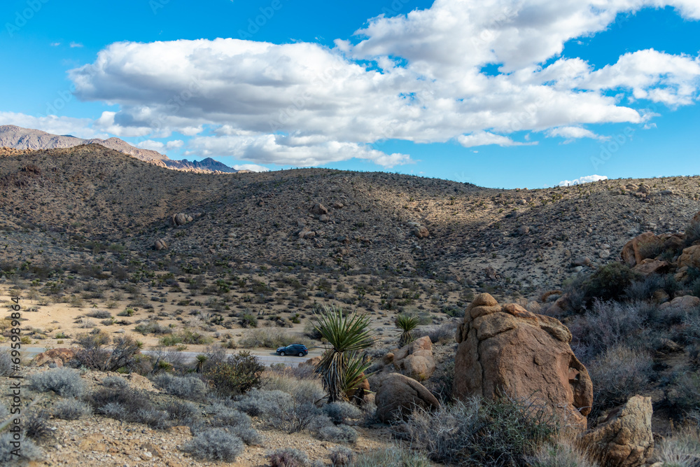 Large yucca and various desert plants in a rocky desert area in Anza Borrego State Park