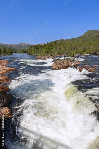 Vertical view of the Namsen River in Namsskogan, Trondelag, Norway, featuring cascades over large stones, each hosting a solitary tree, set against a lush forest backdrop under a sunny blue sky photo