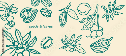 Isolated vector set of nuts. Nuts and seeds collection. Vector hand drawn objects. Peanuts, cashews, walnuts, hazelnuts, cocoa, almonds, chestnut, pine nut, nutmeg, peanut, macadamia, coconut.
