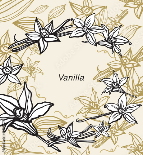 Isolated vector set of vanilla. Vanilla sticks, vanilla flower and pods. Aroma, food. Hand drawn. Vector hand drawn illustration of orchid Flower and pods on isolated background.