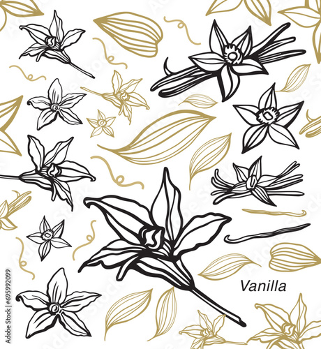 Isolated vector set of vanilla. Vanilla sticks, vanilla flower and pods. Aroma, food. Hand drawn. Vector hand drawn illustration of orchid Flower and pods on isolated background.