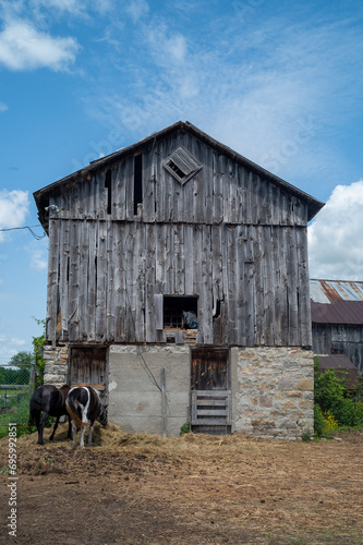 old barn in the farm
