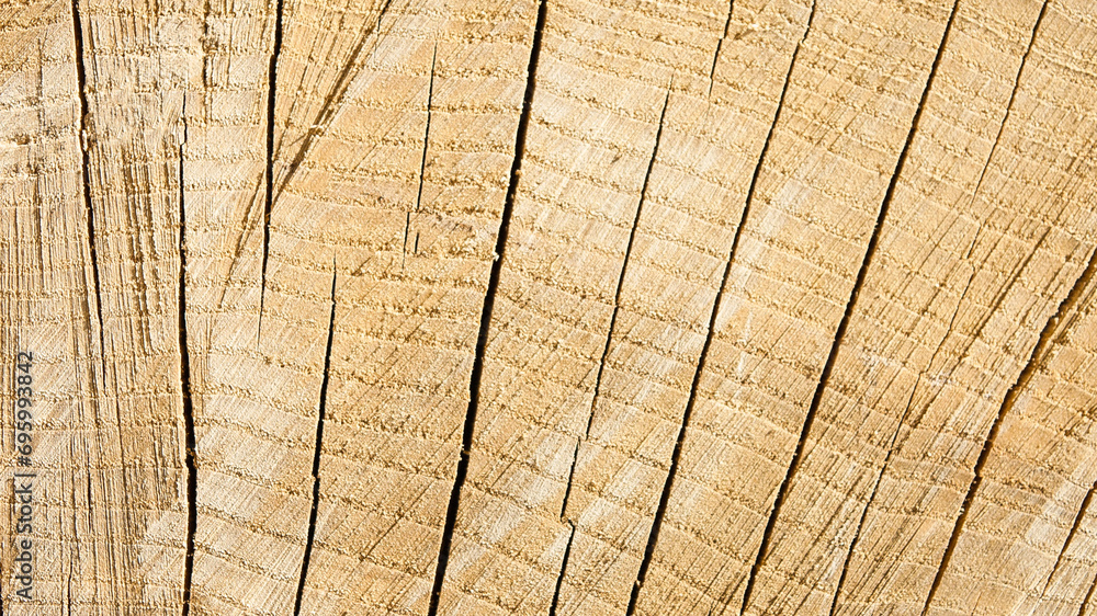round timber, in the photo wooden logs stacked in stacks close-up round timber, in the photo wooden logs stacked in stacks close-up