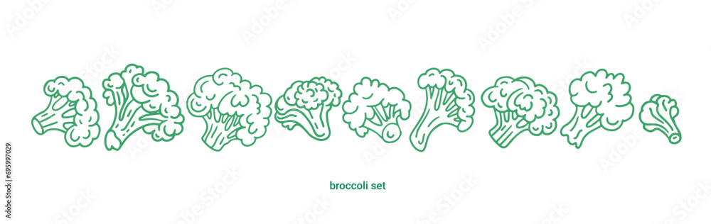 Broccoli cabbage doodle set. Broccoli simple outline icon vector illustration. Green broccoli vegetables. Broccoli cabbage doodle set. Broccoli simple outline icon vector illustration. Green broccoli vegetables.
