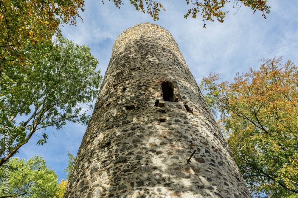 Cernosin, Czech Republic - October 13 2023: View of the ruined castle Volfstejn standing on a hill in the forest. The stone tower is under reconstruction. Sunny autumn day with blue sky.
