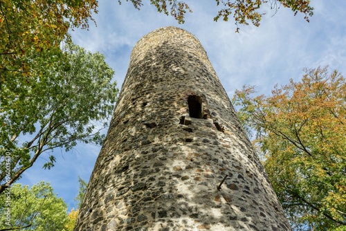 Obraz na płótnie Cernosin, Czech Republic - October 13 2023: View of the ruined castle Volfstejn standing on a hill in the forest. The stone tower is under reconstruction. Sunny autumn day with blue sky. w salonie