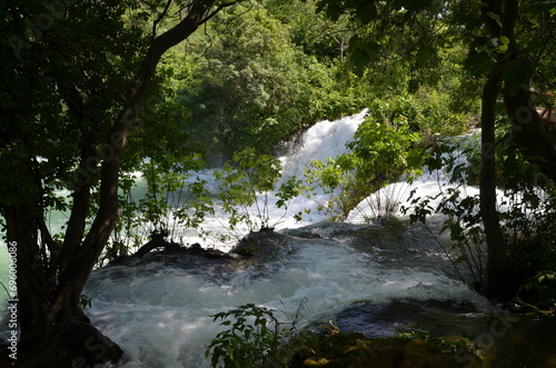 water cascades in wild nature in 