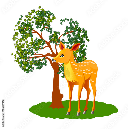 Beautifull fawn near a green young tree. Vector illustration isolated on white background.