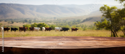 Espace vide de composition en premier plan avec une table en bois. Arrière-plan flou d'un paysage de campagne avec des vaches, des champs et des montagnes. Pour conception et création graphique.