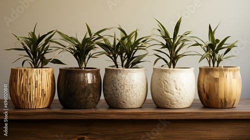 Green potted plants for interior decoration. Minimalistic and trendy home gardening